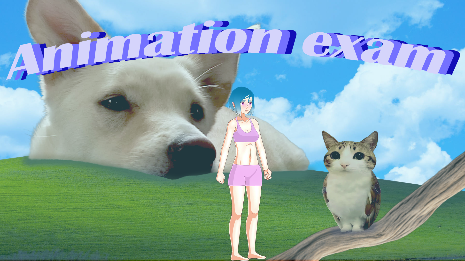 Animation exam