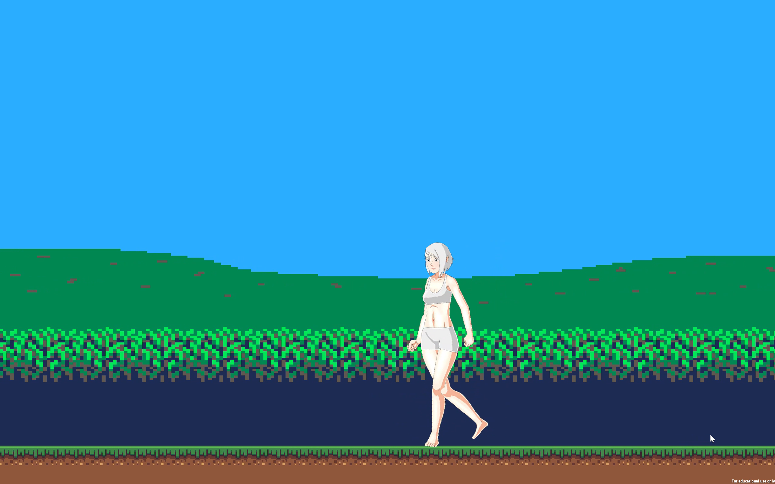 Animation Exam