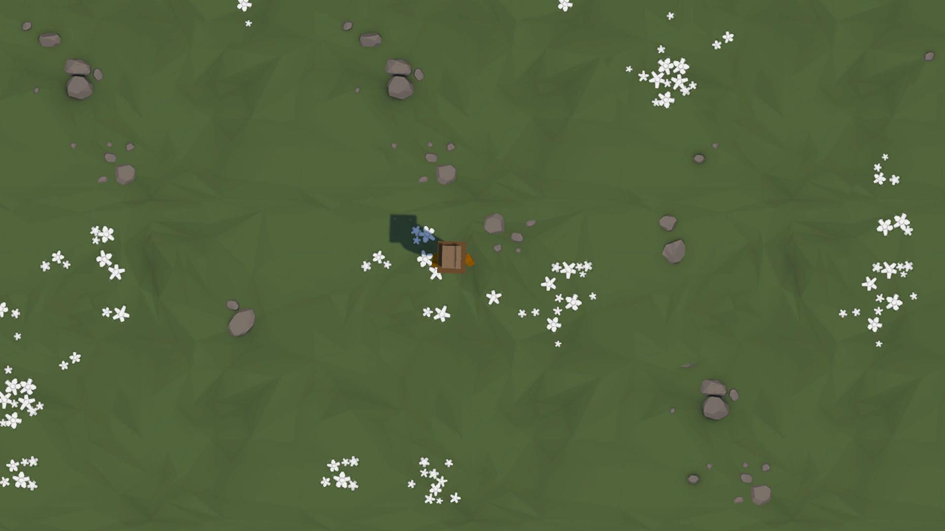 feed the animals