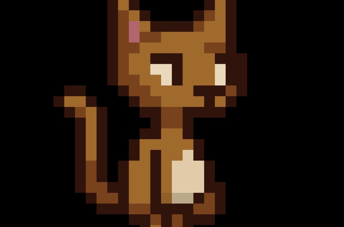 Animated Orange Cat
