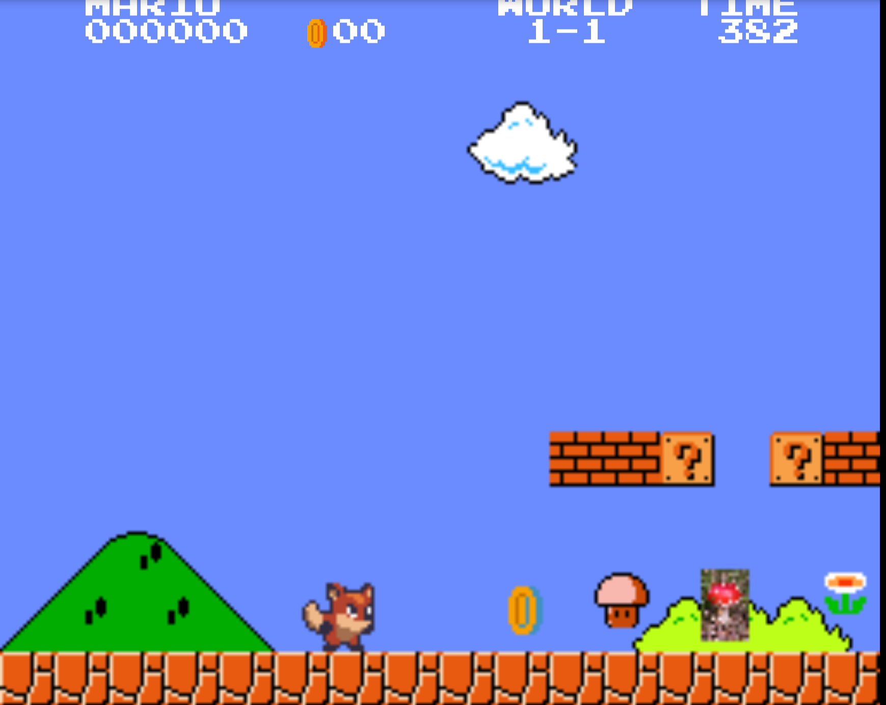 Mario Project