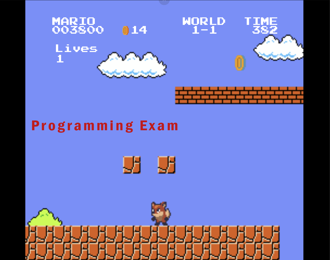 Programming exam