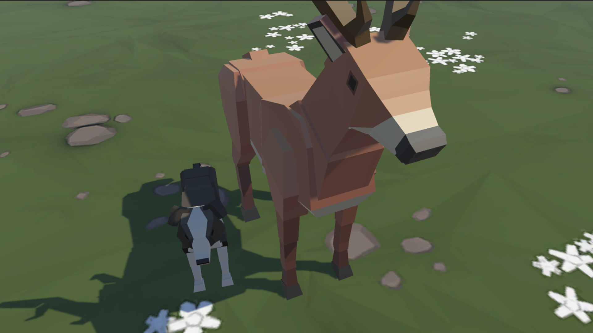 Feed Animals and Play Fetch