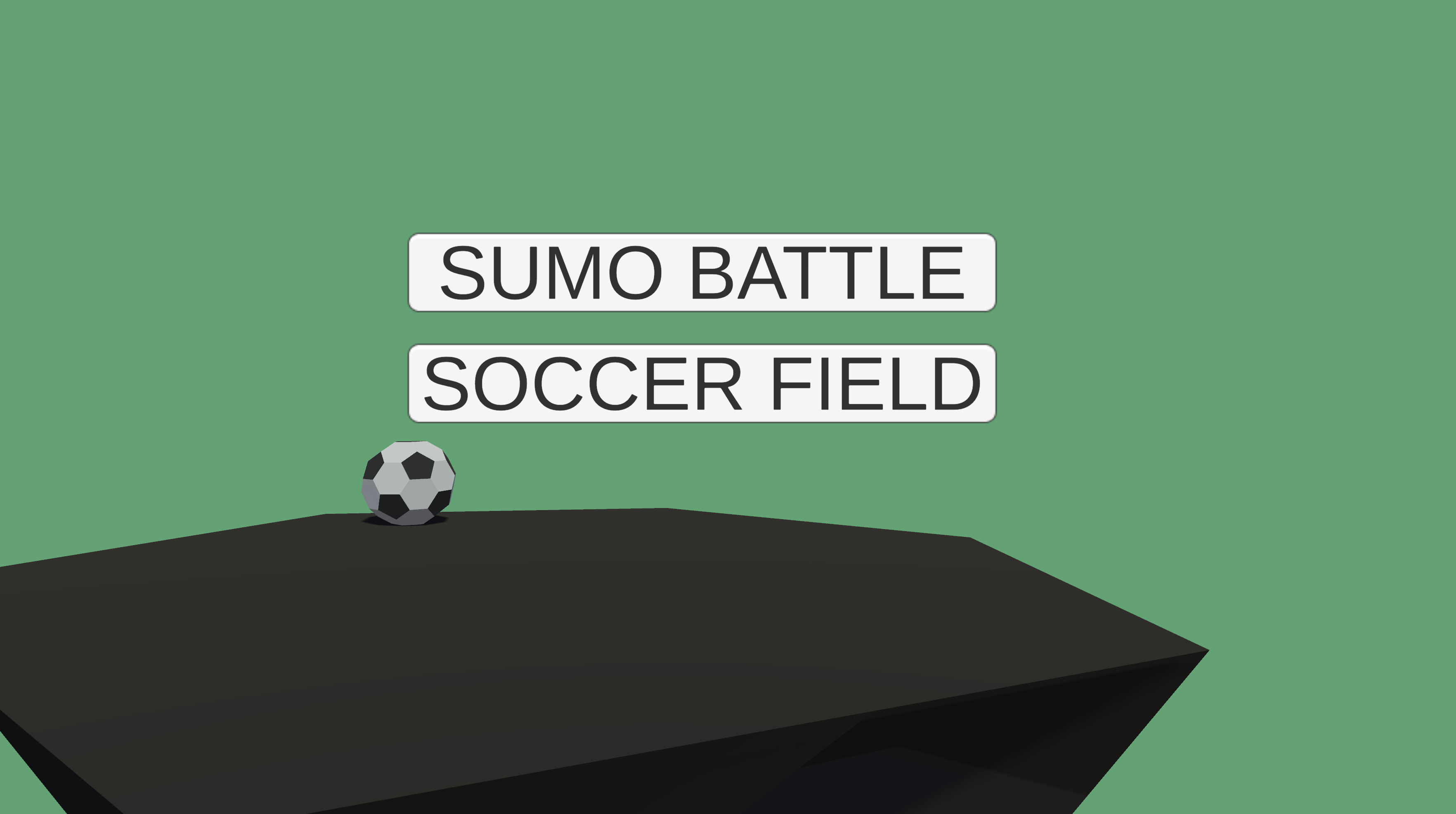 Sumo Battle & Soccer Field