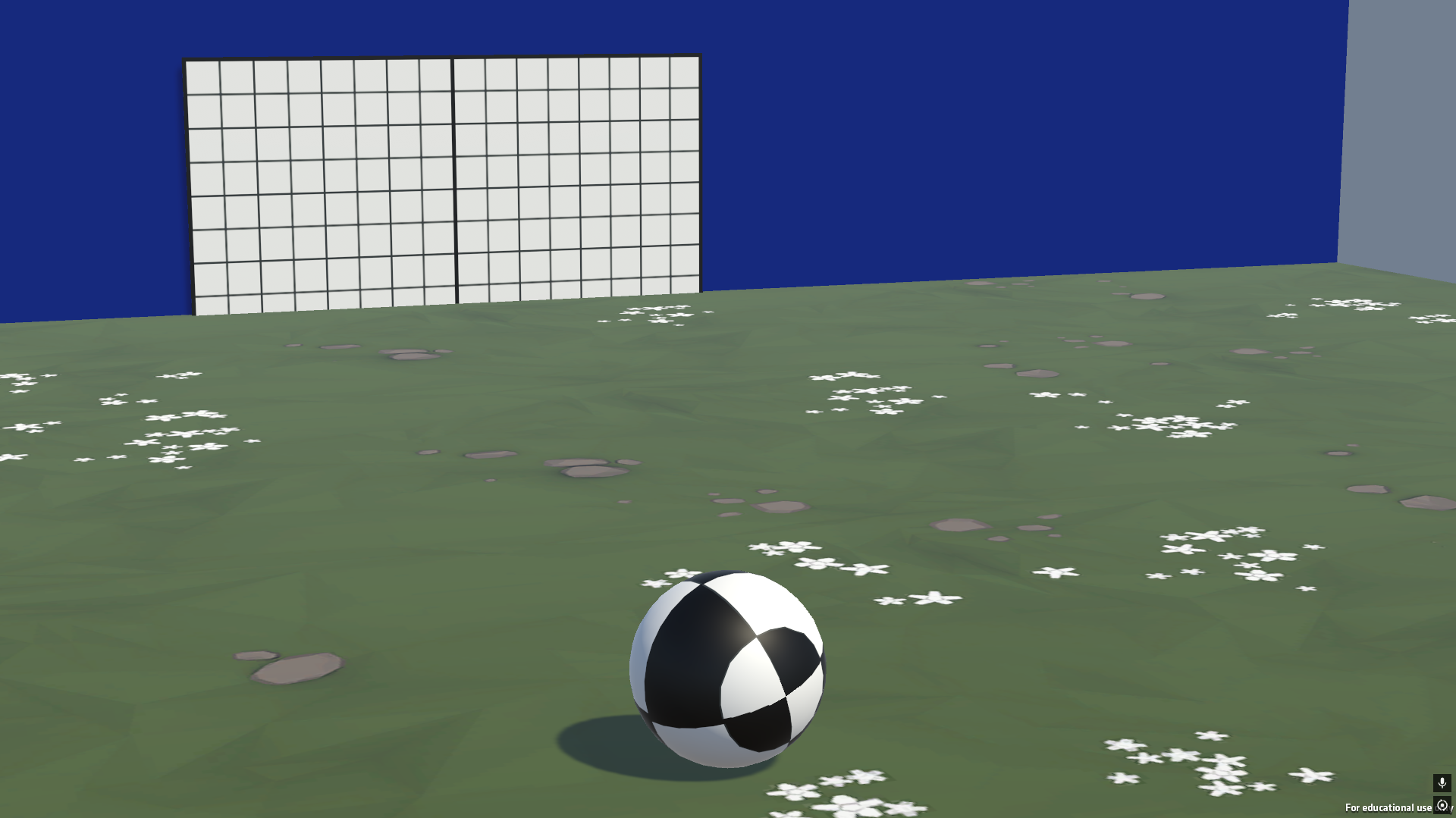 Soccer Field
