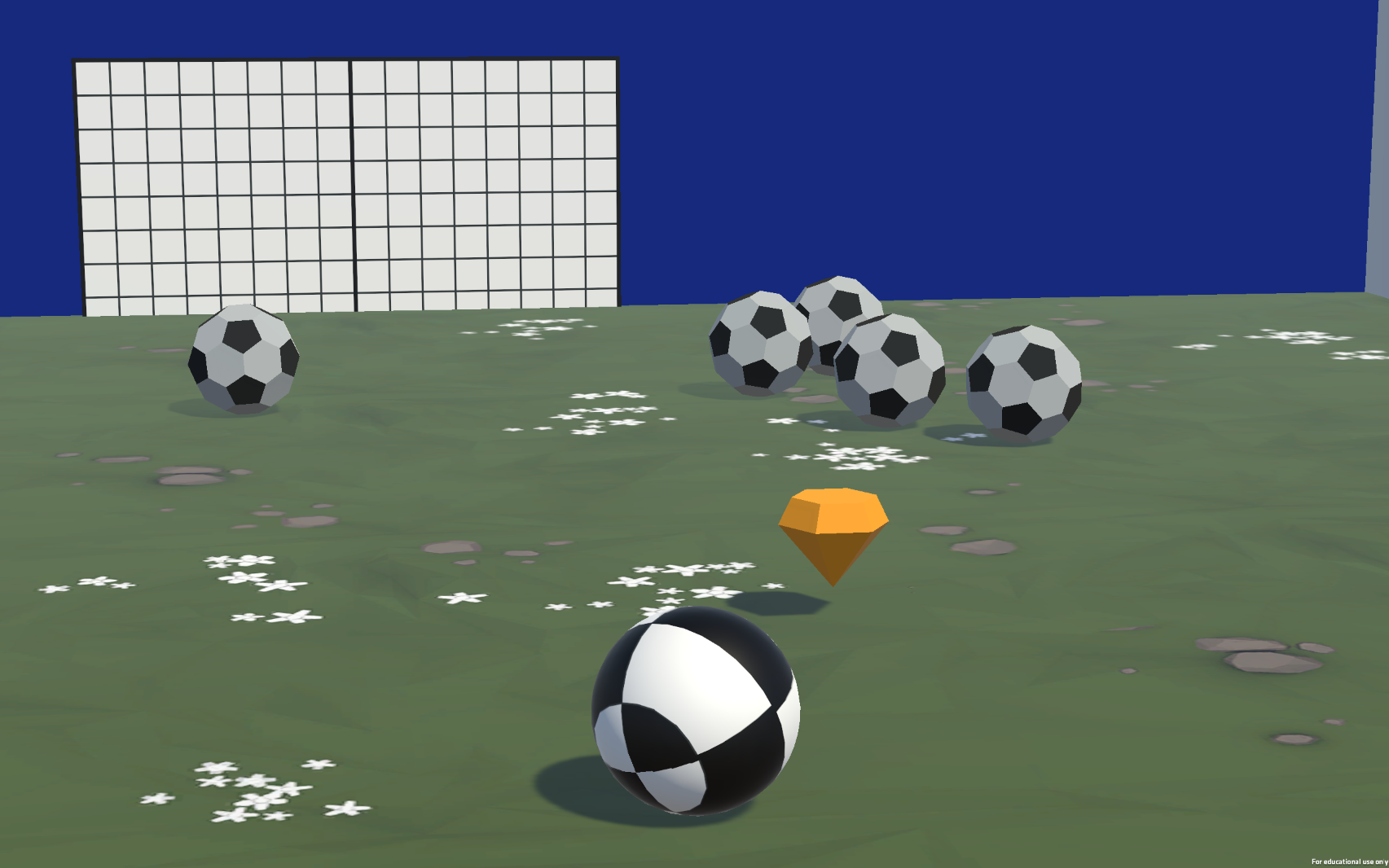 Soccer Field