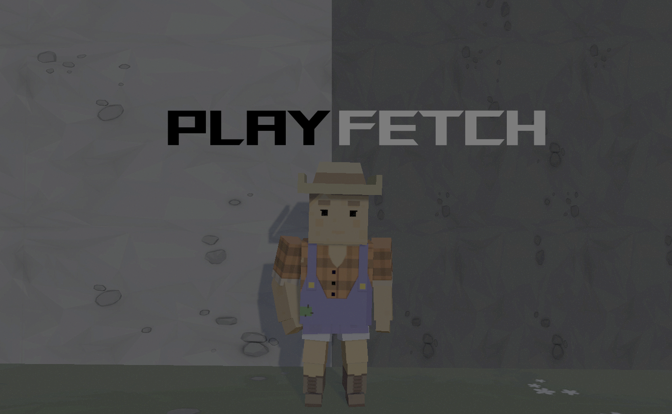 Play Fetch